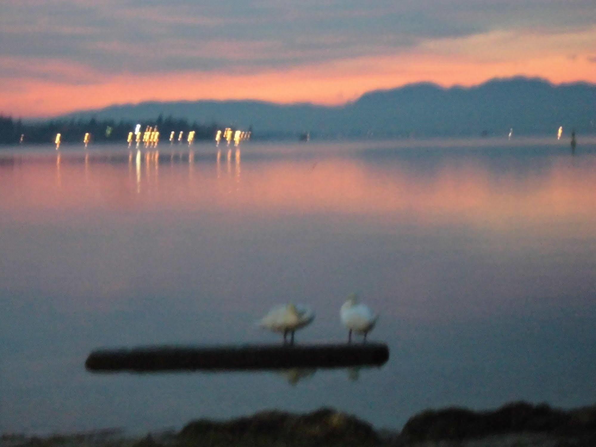 Hotel Benaco Mavras Peschiera del Garda Zewnętrze zdjęcie